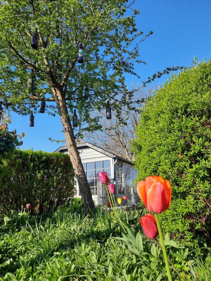 La Vieille Forge B&B Houffalize Exterior foto